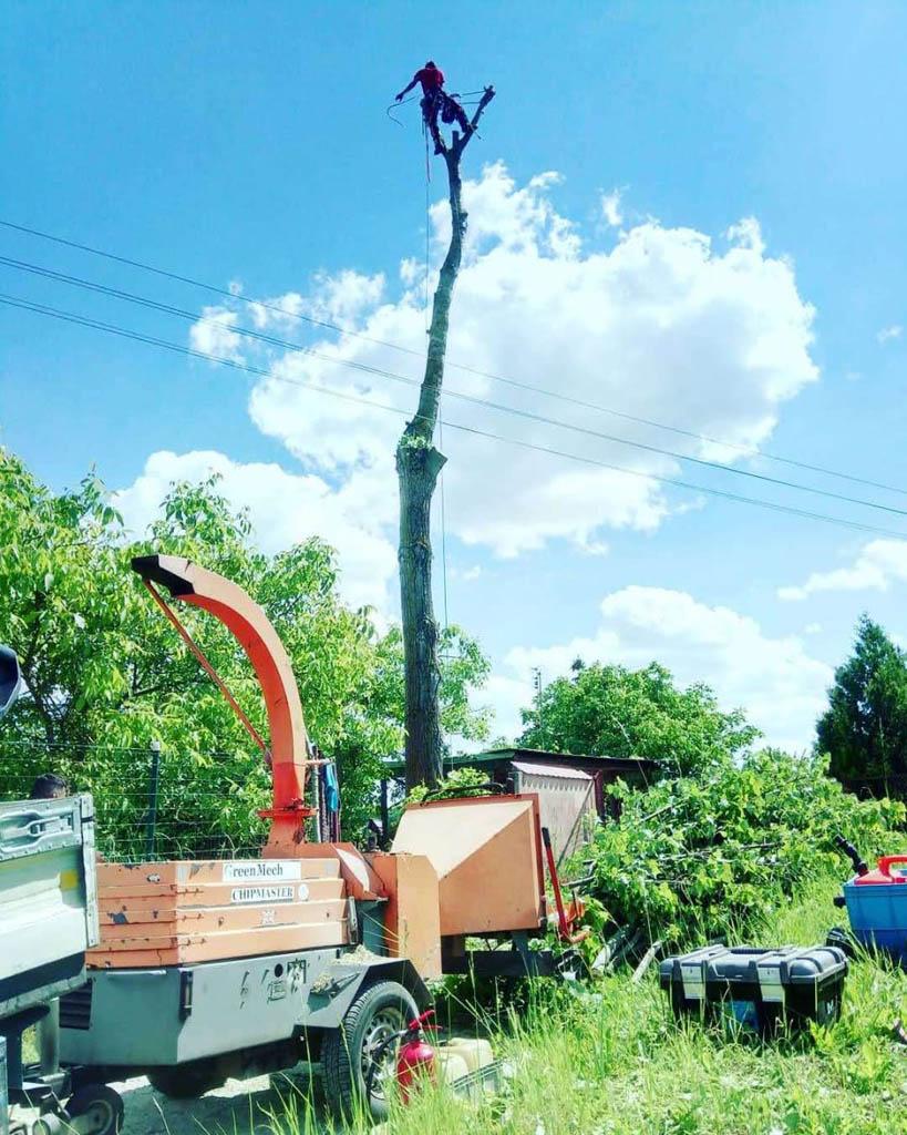 arborka wycinka i pielęgnacje drzew (18)