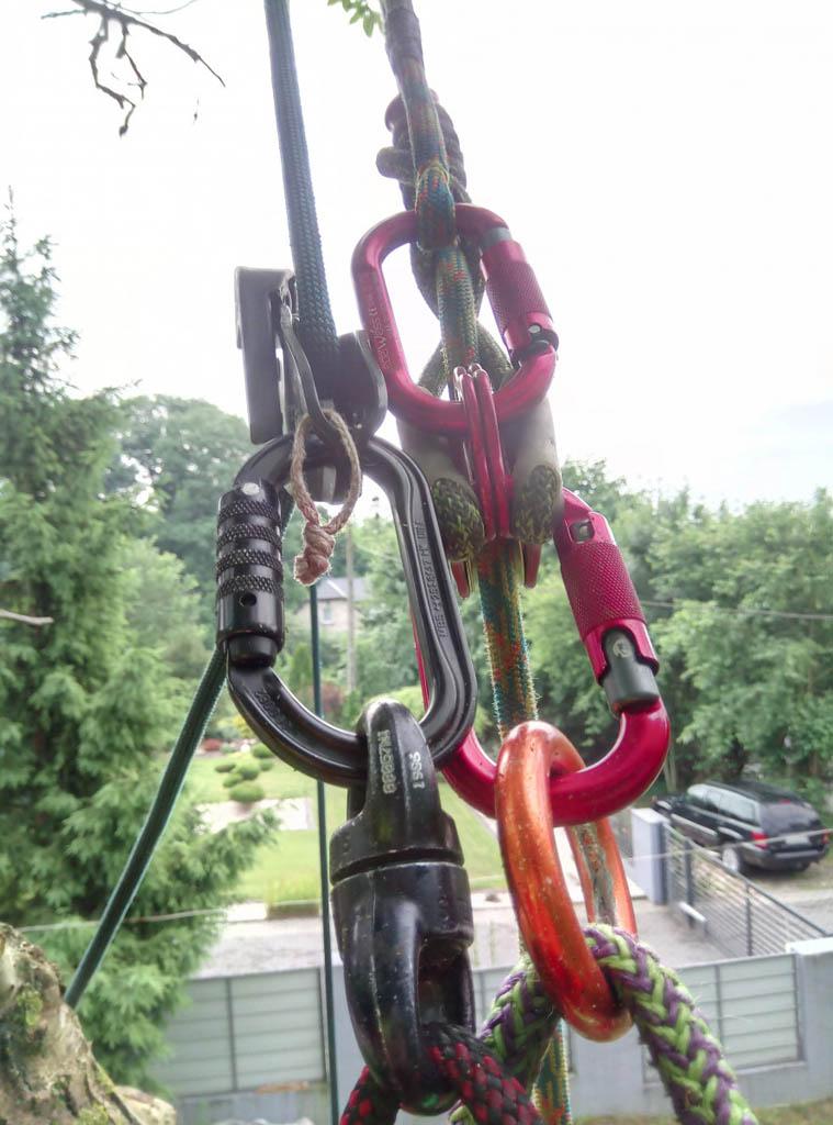 arborka wycinka i pielęgnacje drzew (19)