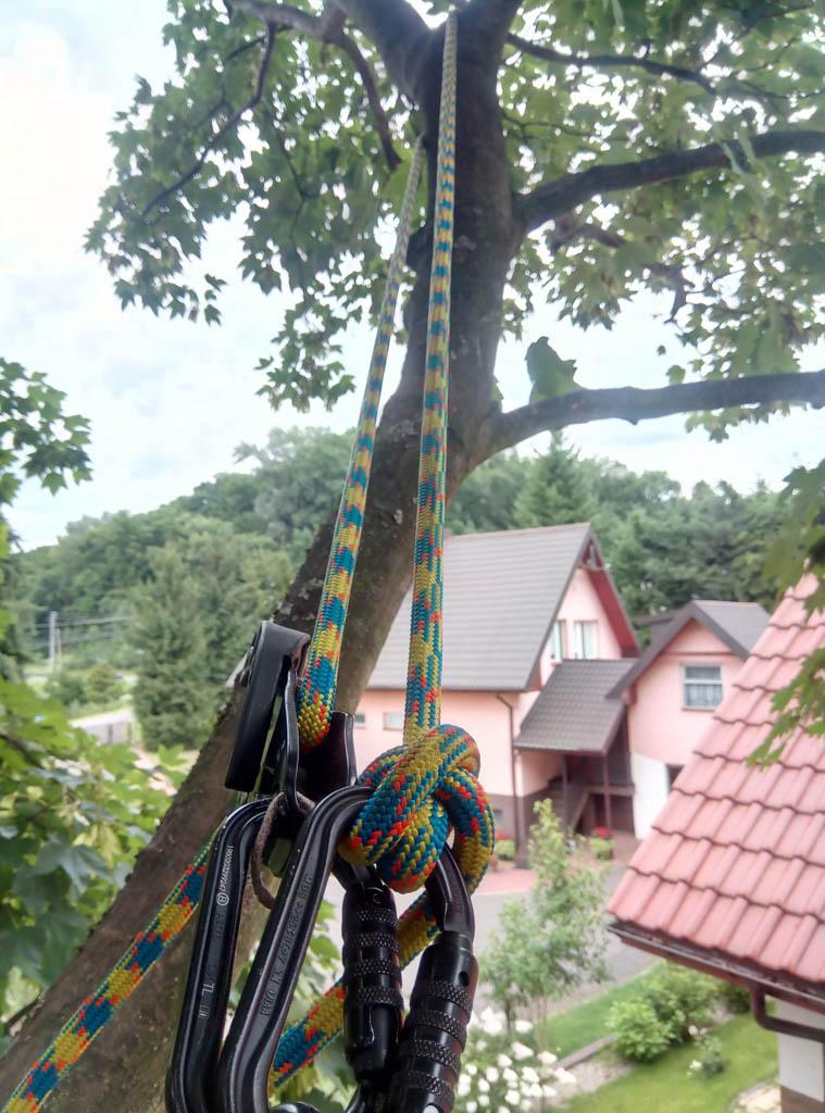 arborka wycinka i pielęgnacje drzew (24)