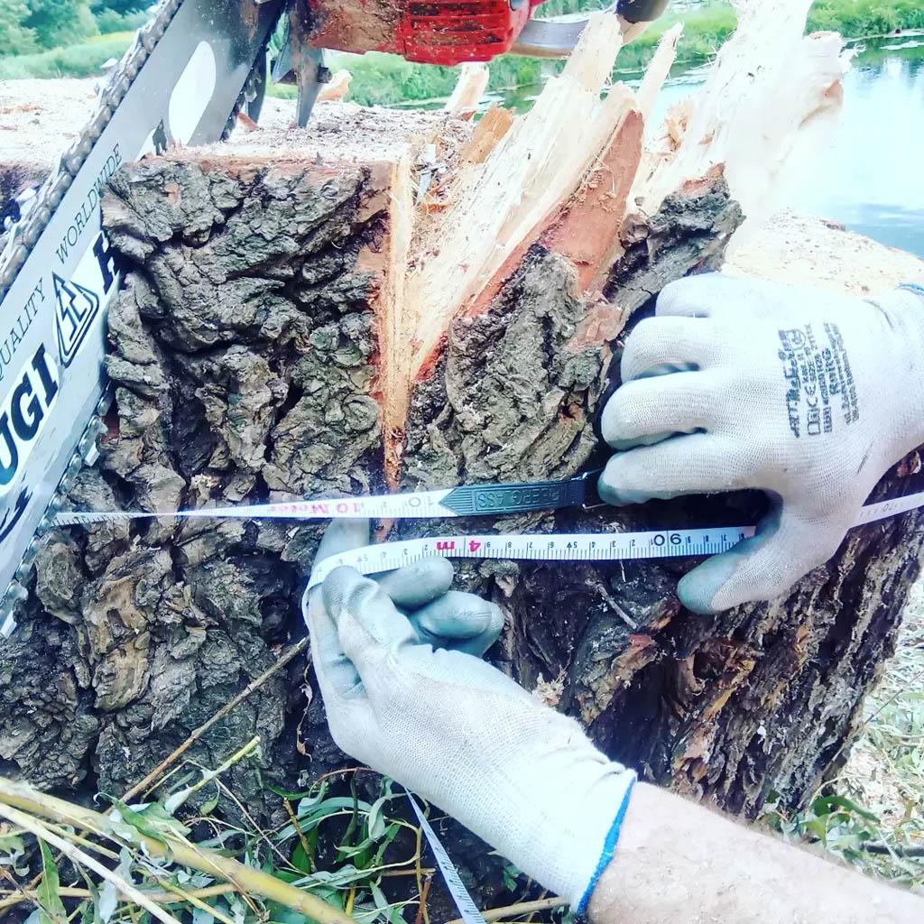 arborka wycinka i pielęgnacje drzew (26)