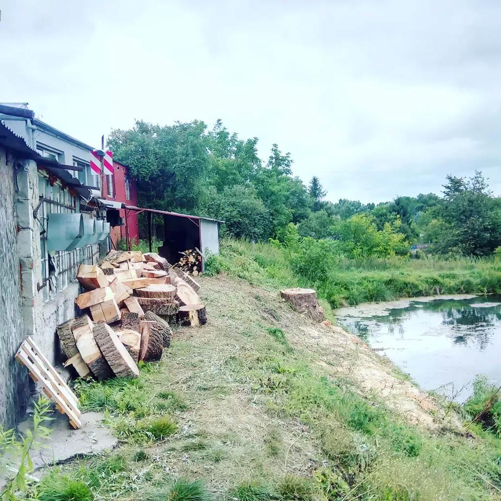 arborka wycinka i pielęgnacje drzew (29)