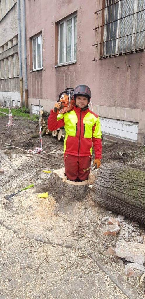 arborka wycinka i pielęgnacje drzew (35)