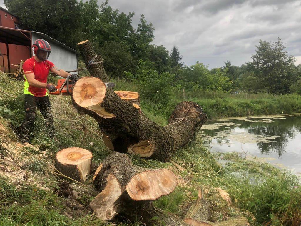 arborka wycinka i pielęgnacje drzew (40)
