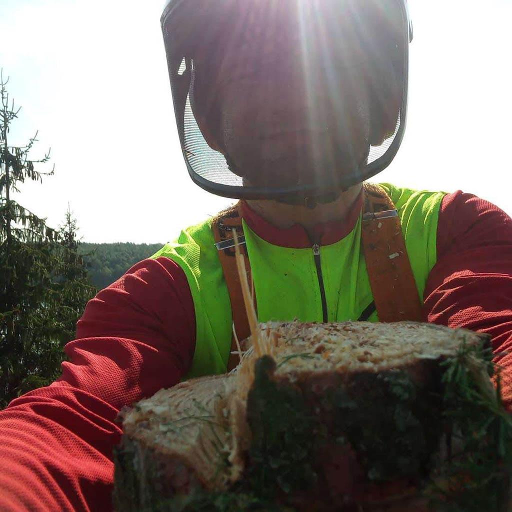 arborka wycinka i pielęgnacje drzew (52)