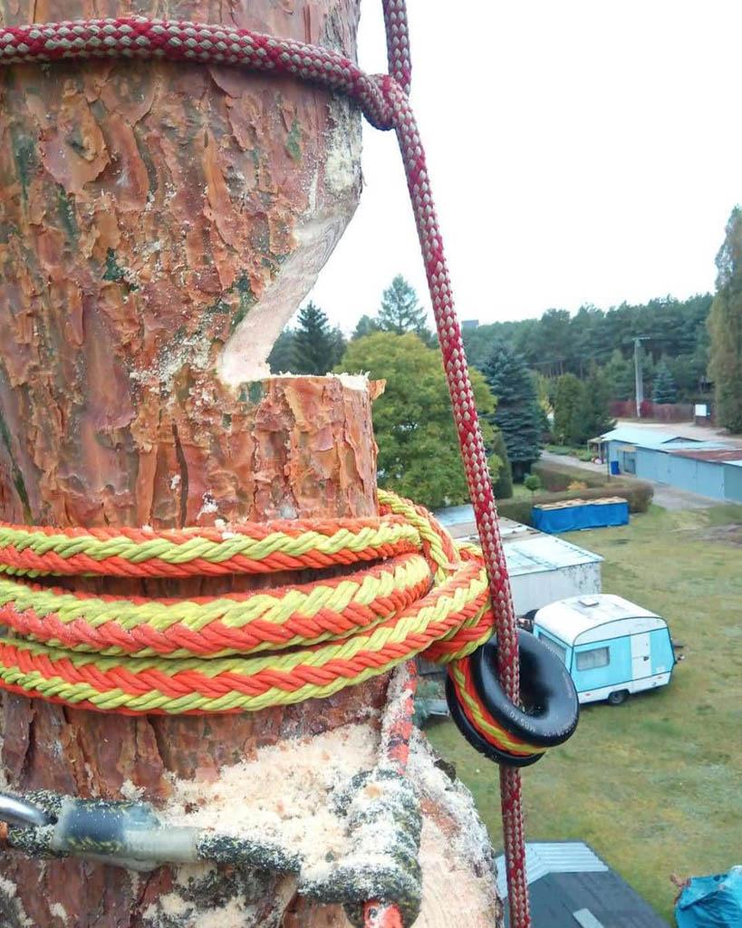 arborka wycinka i pielęgnacje drzew (53)