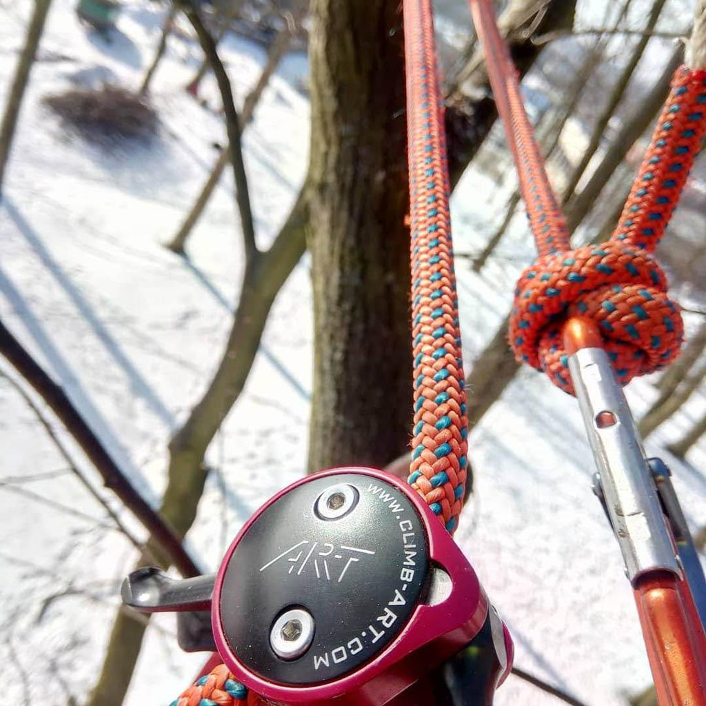 arborka wycinka i pielęgnacje drzew (6)