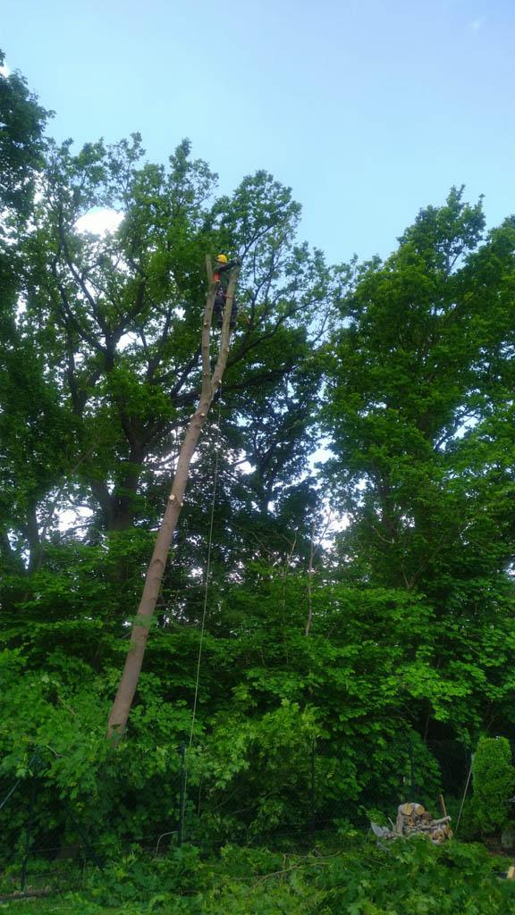 metoda alpinistyczna (3)