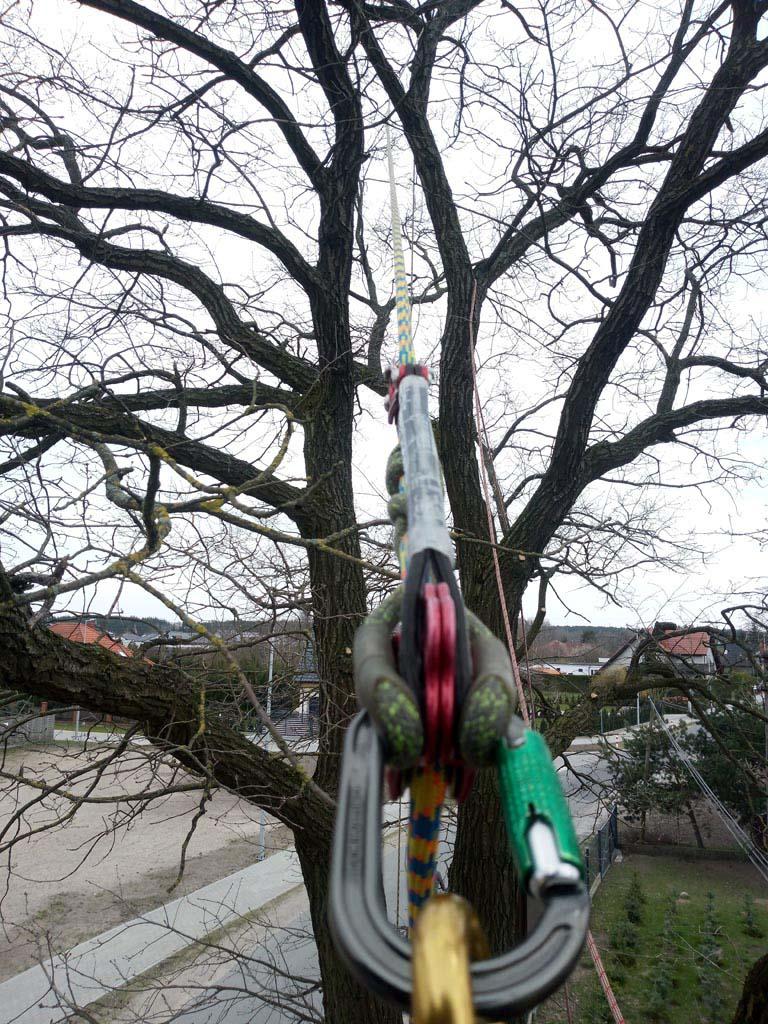 pielęgnacja drzew na wosnę (1)