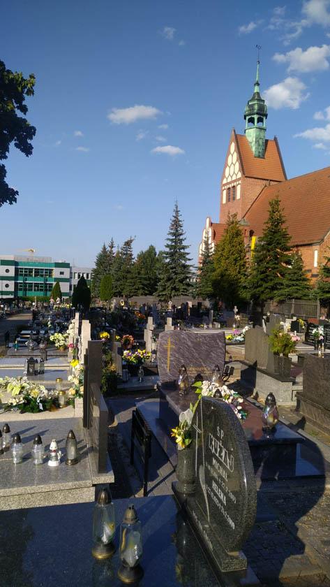 wycinka drzew na cmentarzu (1)